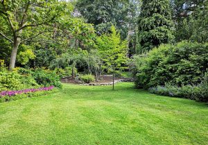 Optimiser l'expérience du jardin à La Villeneuve-les-Convers